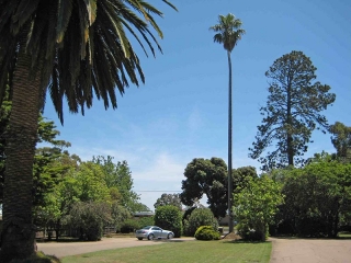 entrance-carpark